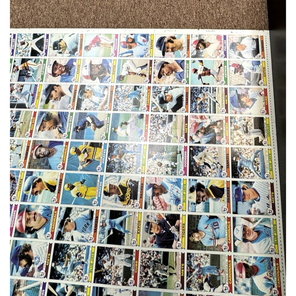 1979 Topps Baseball Card Full Sheet Uncut 144 Cards Roll Vintage Ozzie Smith RC