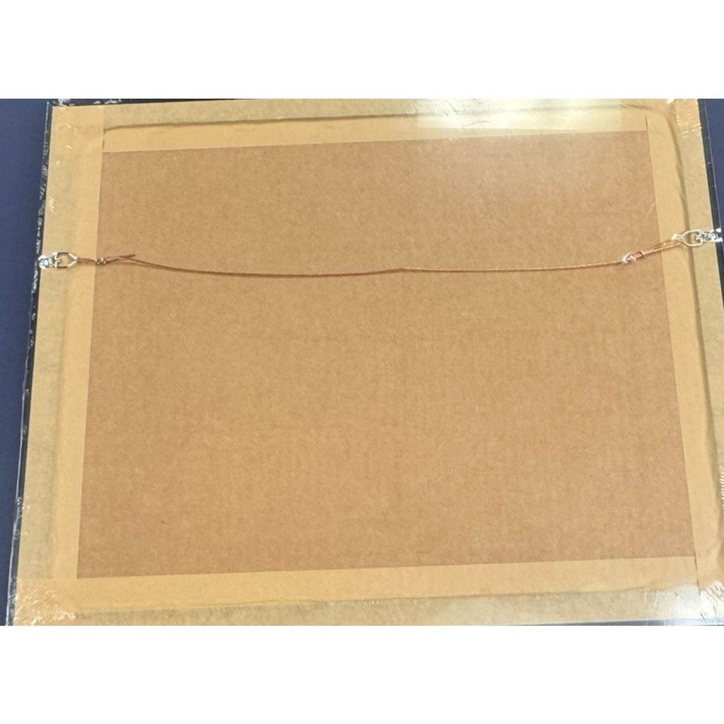 Baltimore Orioles Framed 2023 American League East Division Champs Photo MLB