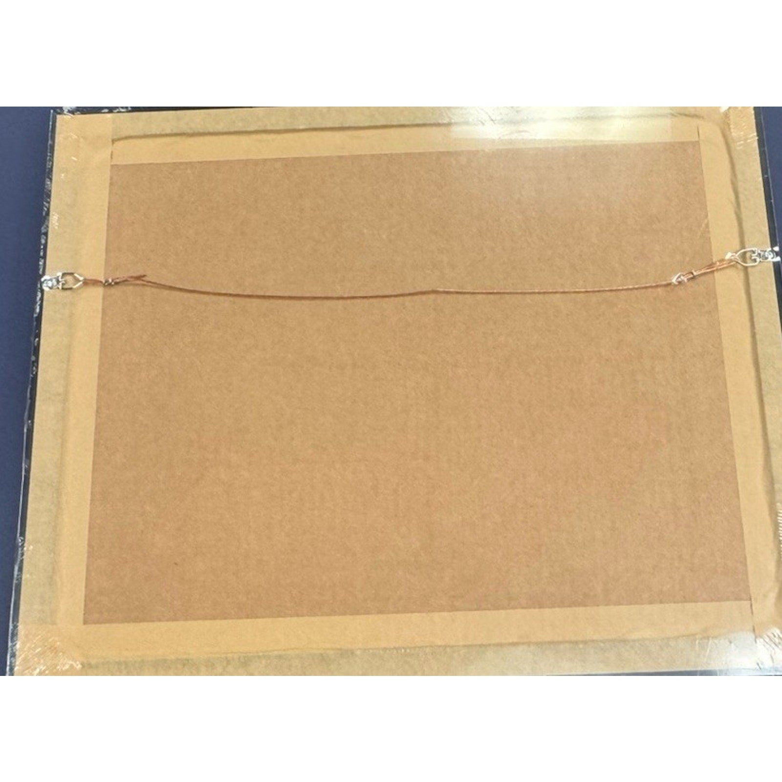 Baltimore Orioles Framed 2023 American League East Division Champs Photo MLB