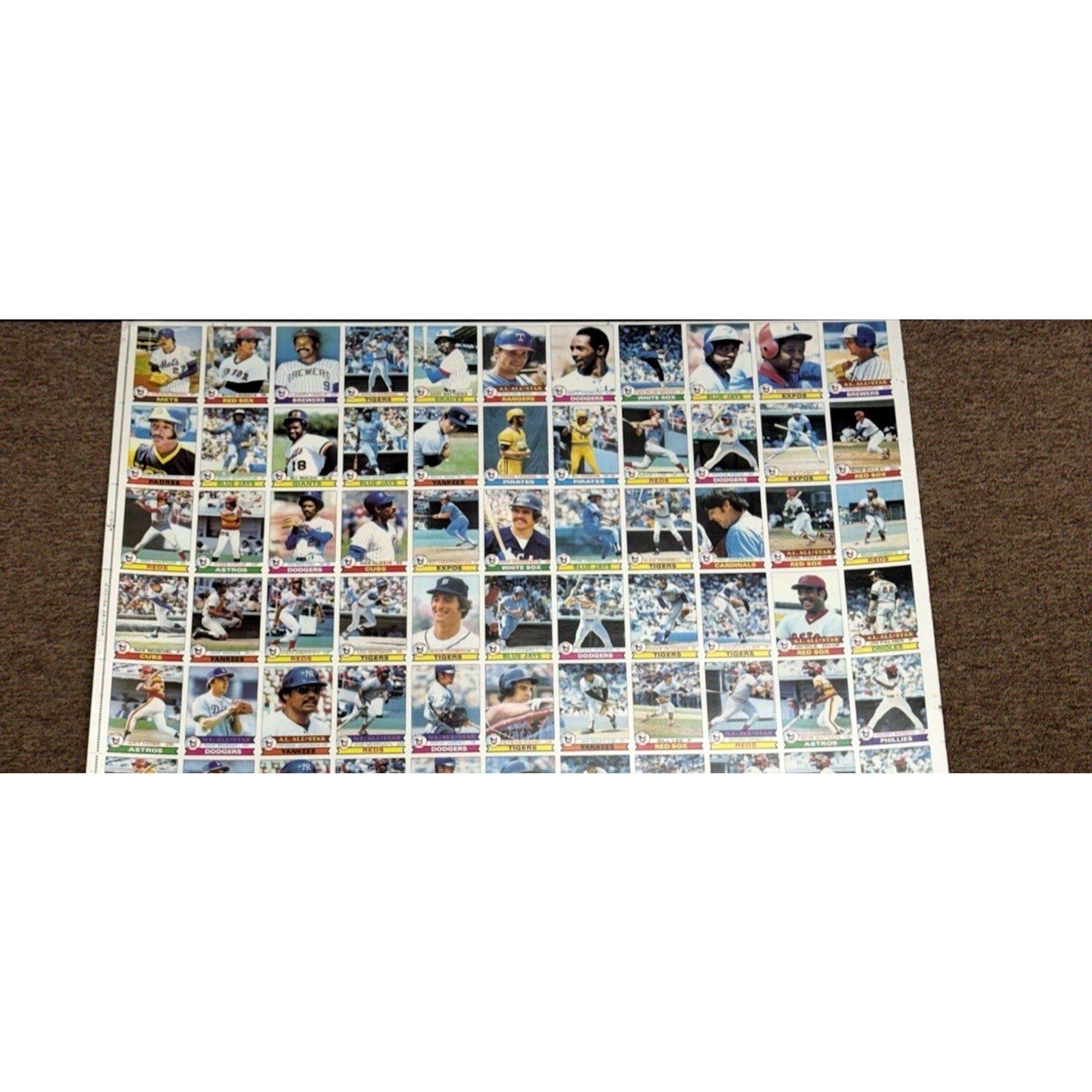 1979 Topps Baseball Card Full Sheet Uncut 144 Cards Roll Vintage Ozzie Smith RC