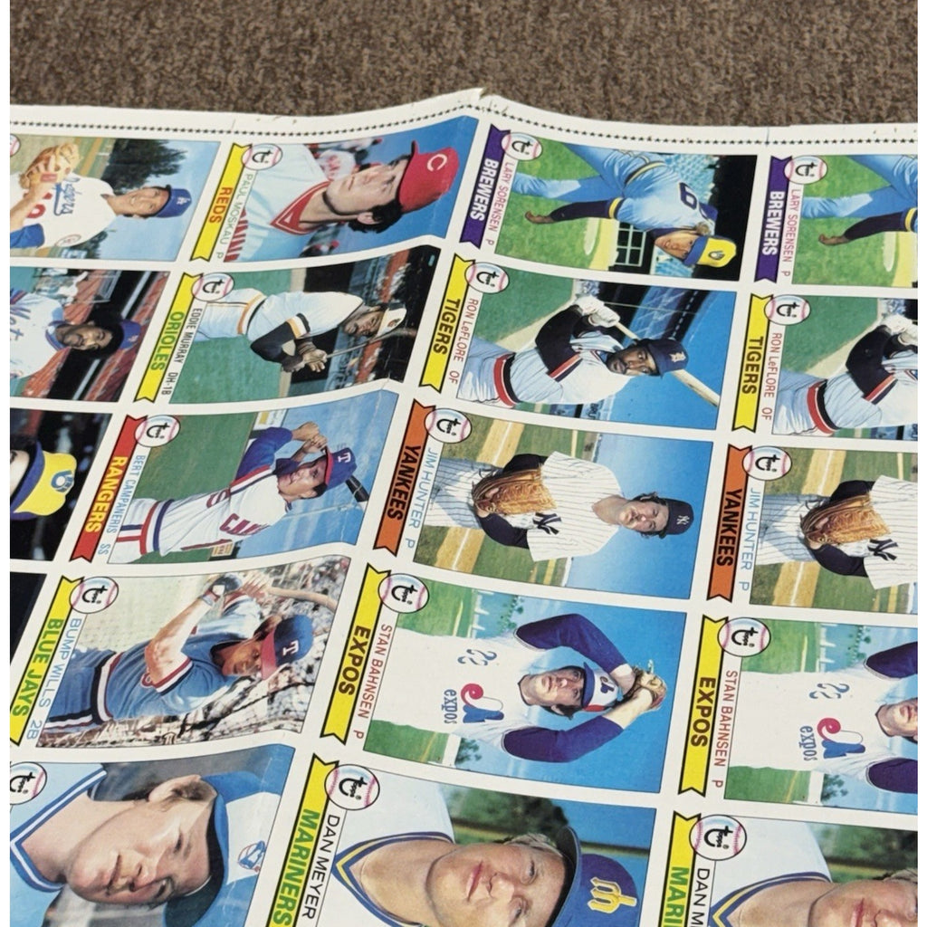 1979 Topps Baseball Card Full Sheet Uncut 144 Cards 12 Rows Roll Vintage