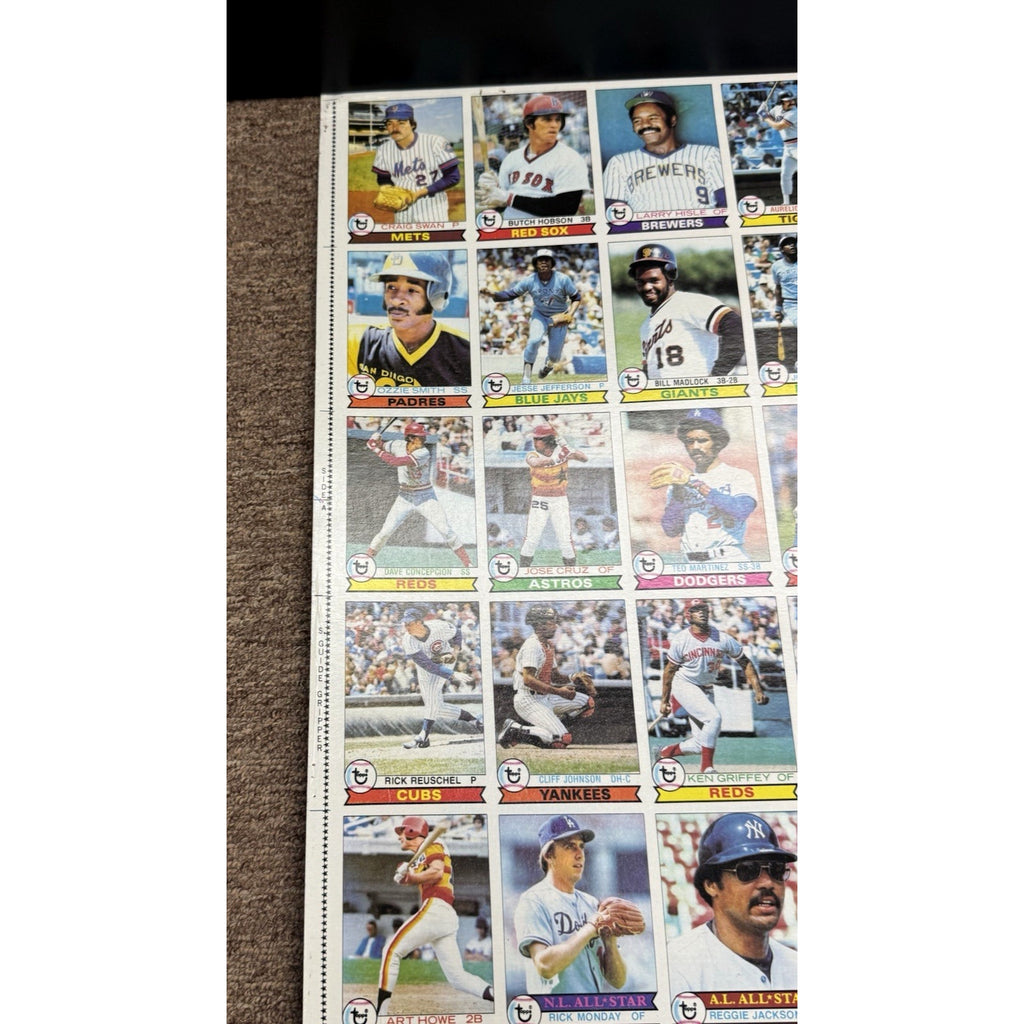 1979 Topps Baseball Card Full Sheet Uncut 144 Cards Roll Vintage Ozzie Smith RC