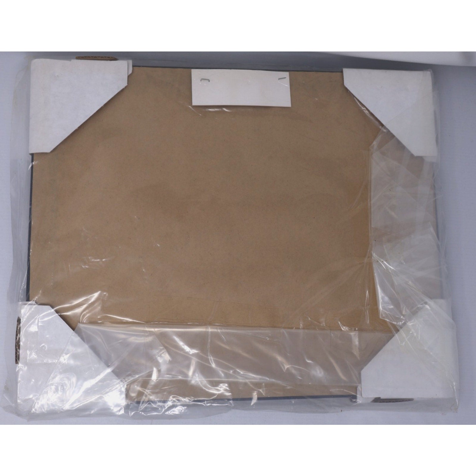 Tiger Woods 2007 Flight Champion Fort Mill Golf Club Picture & Plaque Sealed