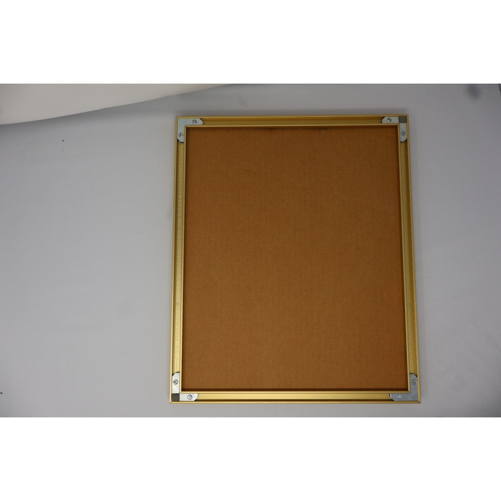 Backside of framed Cal Ripken Jr cartoon sketch display with hanging hardware