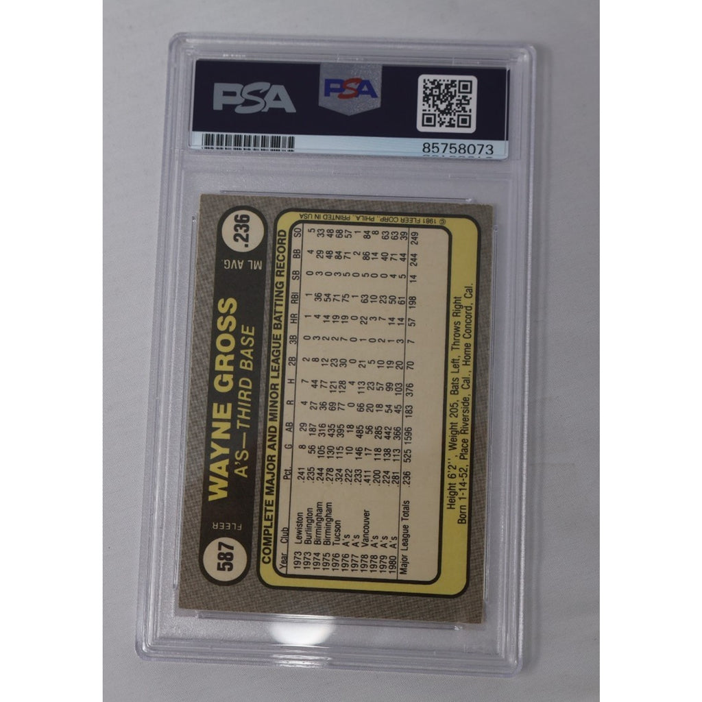 Back view of the 1981 Fleer Wayne Gross autographed card inside PSA holder showing player statistics, card details, and PSA/DNA authentication information