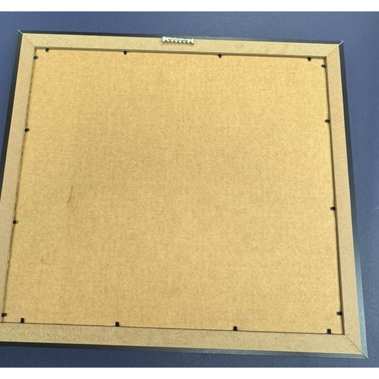 Kyle Bradish Autographed Picture Frame Postgame Celebration Orange Orioles COA