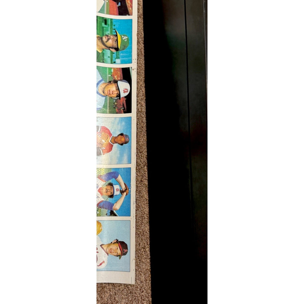 1979 Topps Baseball Card Full Sheet Uncut 144 Cards 12 Rows Roll Vintage