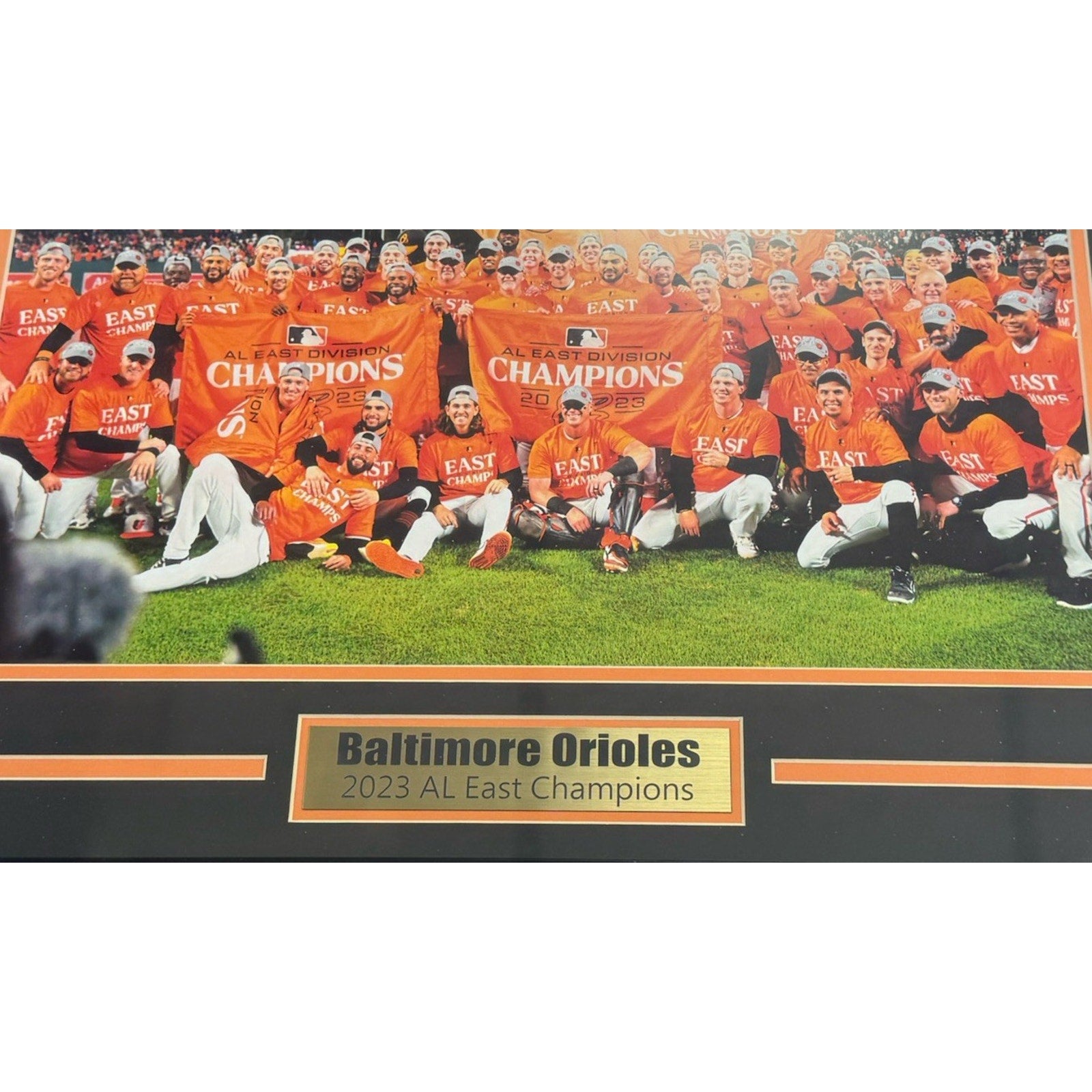 Baltimore Orioles Framed 2023 American League East Division Champs Photo MLB